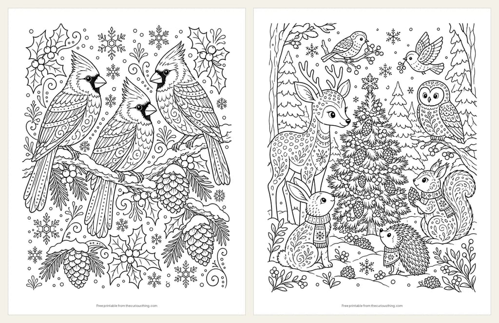 Two detailed winter animal coloring pages: three cardinals on a snowy branch with holly, and woodland animals around a pine tree they decorated