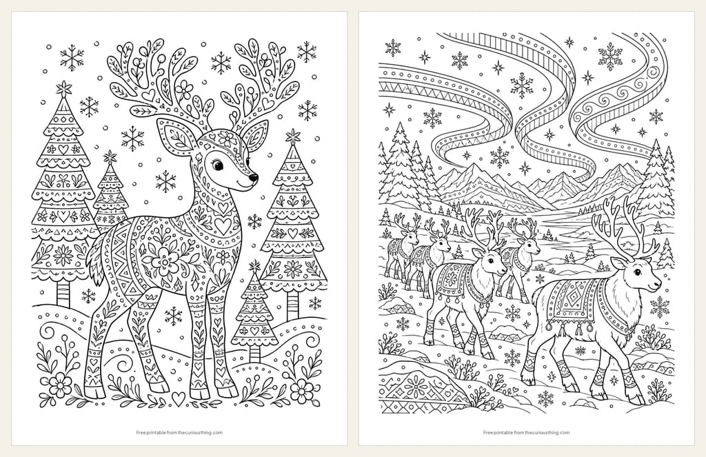 Two detailed reindeer coloring pages: a folk-art reindeer covered in flowers and hearts, and a reindeer herd crossing the tundra under the northern lights
