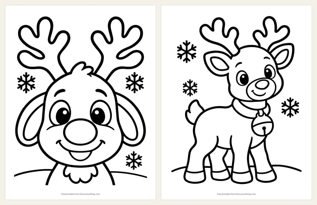 Two easy reindeer coloring pages: a big reindeer face with antlers, and a young reindeer wearing a jingle bell collar