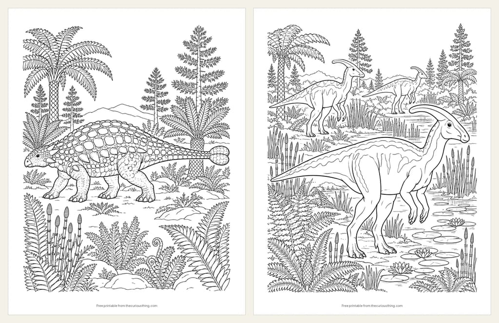 Two detailed coloring pages: a realistic armored Ankylosaurus with its tail club, and a herd of Parasaurolophus in a marsh