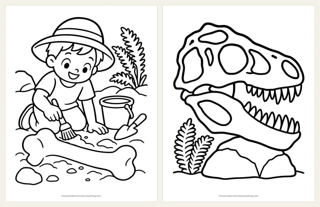 Two easy fossil coloring pages: a child in a sun hat brushing sand off a big dinosaur bone, and a T. rex skull resting on a rock