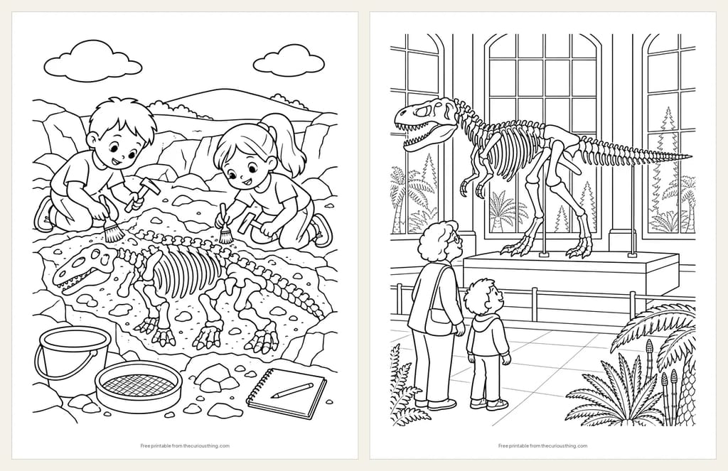Two fossil coloring pages: two children uncovering a dinosaur skeleton in a quarry, and a grandparent and child looking up at a T. rex skeleton in a museum