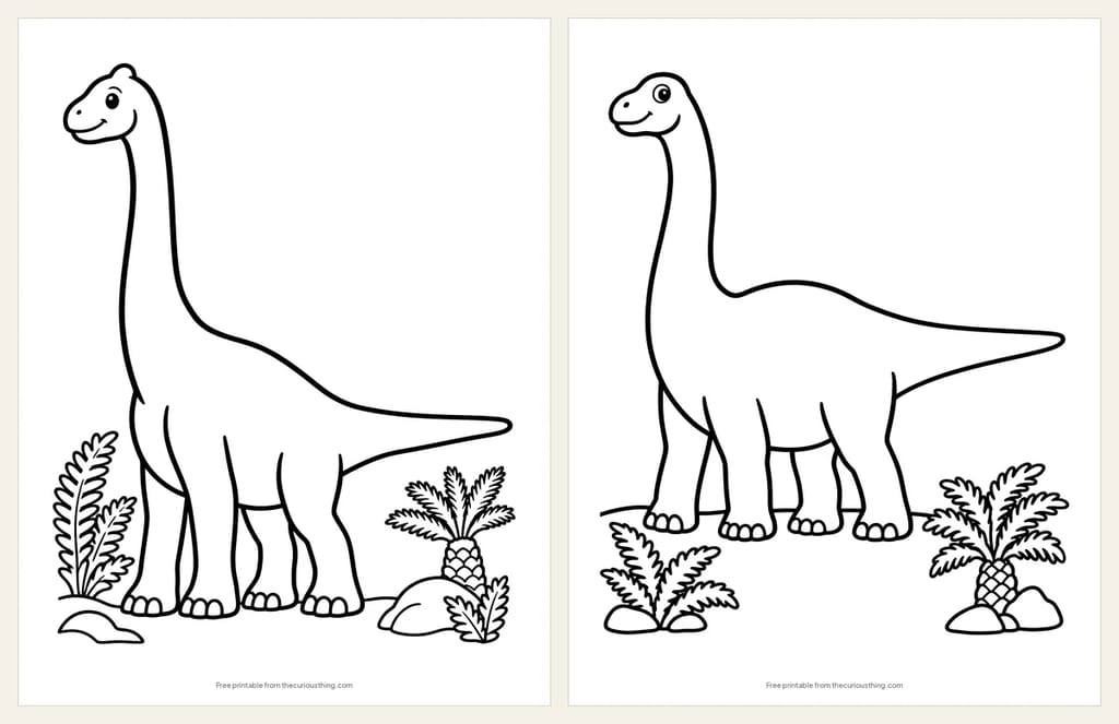 Two easy long-necked dinosaur coloring pages: a Brachiosaurus with its neck straight up, and a Brontosaurus with a long neck and tail