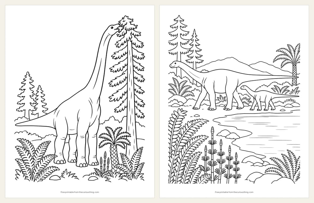 Two long-necked dinosaur coloring pages: a Brachiosaurus nibbling the top of a tall conifer, and a Diplodocus and its baby walking by a lake