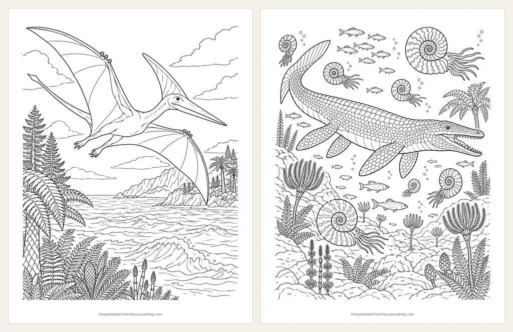 Two detailed coloring pages: a realistic Pteranodon soaring over the waves, and a Mosasaurus swimming past ammonites and sea lilies