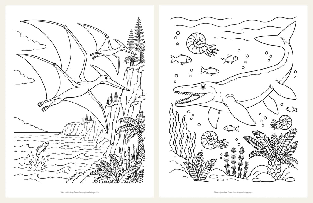 Two coloring pages: two Pteranodon flying over sea cliffs, and a Mosasaurus under the sea with ammonites and fish