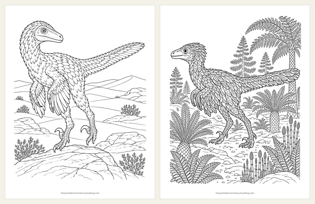 Two detailed Velociraptor coloring pages: a realistic feathered Velociraptor standing on a desert rock, and a Velociraptor with patterned feathers