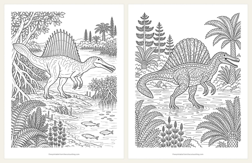 Two detailed Spinosaurus coloring pages: a realistic Spinosaurus on a riverbank among mangrove-like trees, and a Spinosaurus with a stained-glass sail