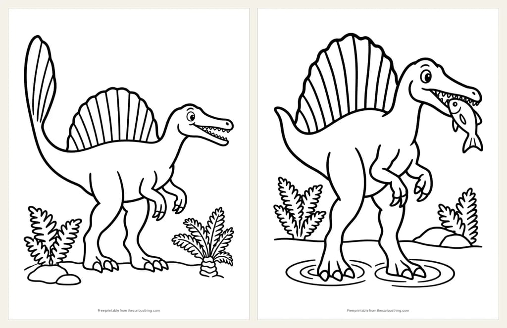 Two easy Spinosaurus coloring pages: a Spinosaurus with a big back sail, and a Spinosaurus holding a fish in shallow water