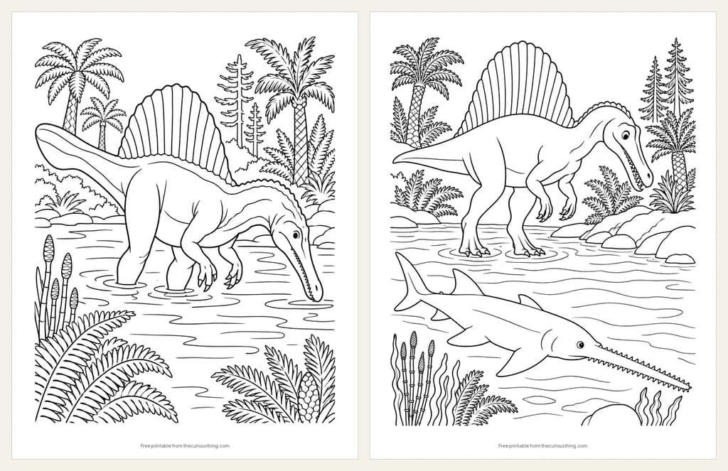 Two Spinosaurus coloring pages: a Spinosaurus wading in a river with its snout to the water, and a Spinosaurus above a giant sawfish