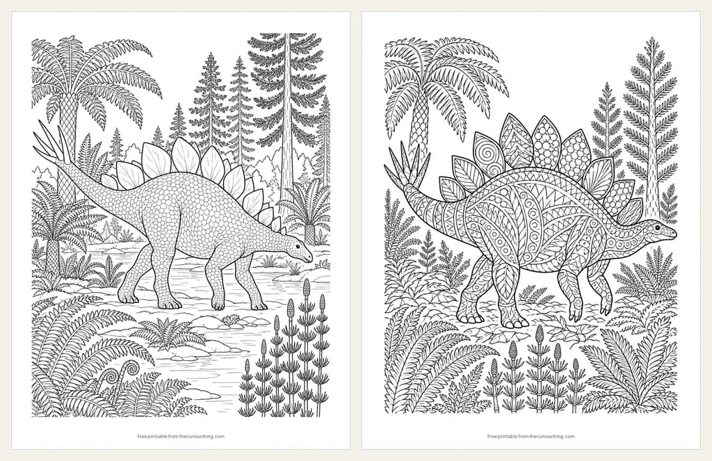 Two detailed Stegosaurus coloring pages: a realistic Stegosaurus beside a Jurassic stream, and a Stegosaurus with every plate in a different pattern