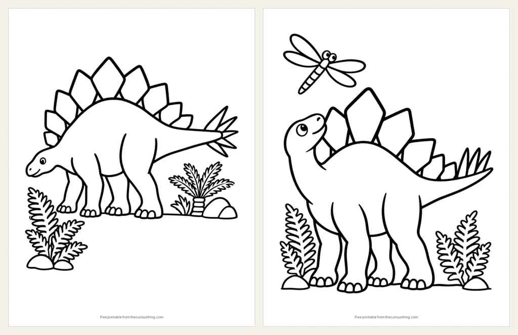 Two easy Stegosaurus coloring pages: a Stegosaurus with big back plates and four tail spikes, and a Stegosaurus looking up at a dragonfly