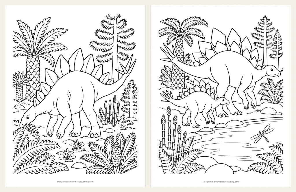 Two Stegosaurus coloring pages: a Stegosaurus munching ferns, and two Stegosaurus at a pond with horsetail plants