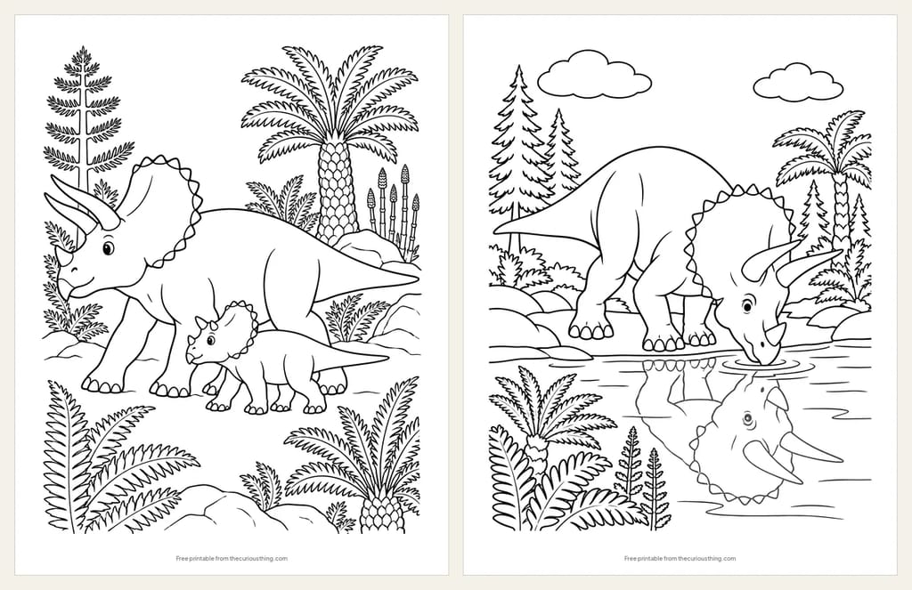 Two Triceratops coloring pages: a Triceratops and her baby walking among cycads, and a Triceratops drinking at a river beside its reflection