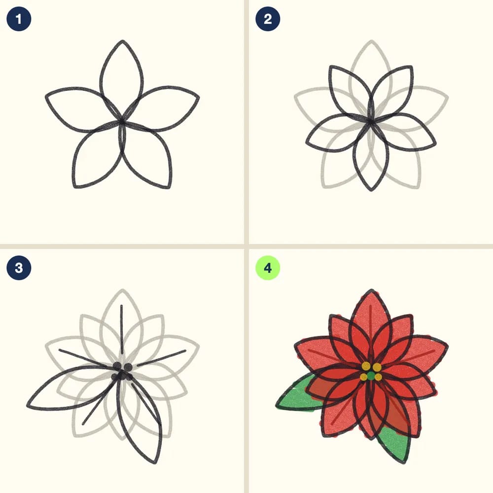 Four crayon steps for drawing a poinsettia: five pointed petals, five more behind, two leaves, petal lines and dots, then red petals and a yellow middle