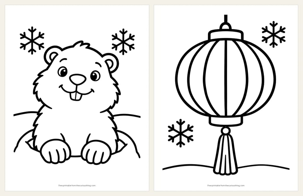 Two easy coloring pages: a groundhog popping out of its burrow in the snow, and a round Lunar New Year lantern with a tassel