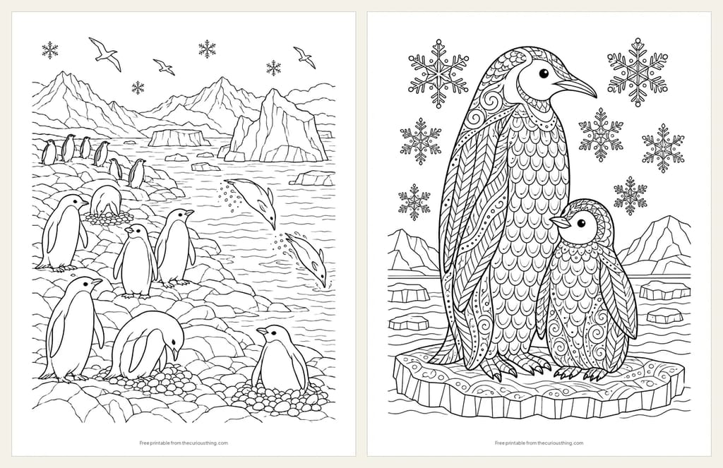 Two detailed penguin coloring pages: Adélie penguins nesting on a rocky Antarctic shore with icebergs offshore, and an emperor penguin and chick filled with patterns