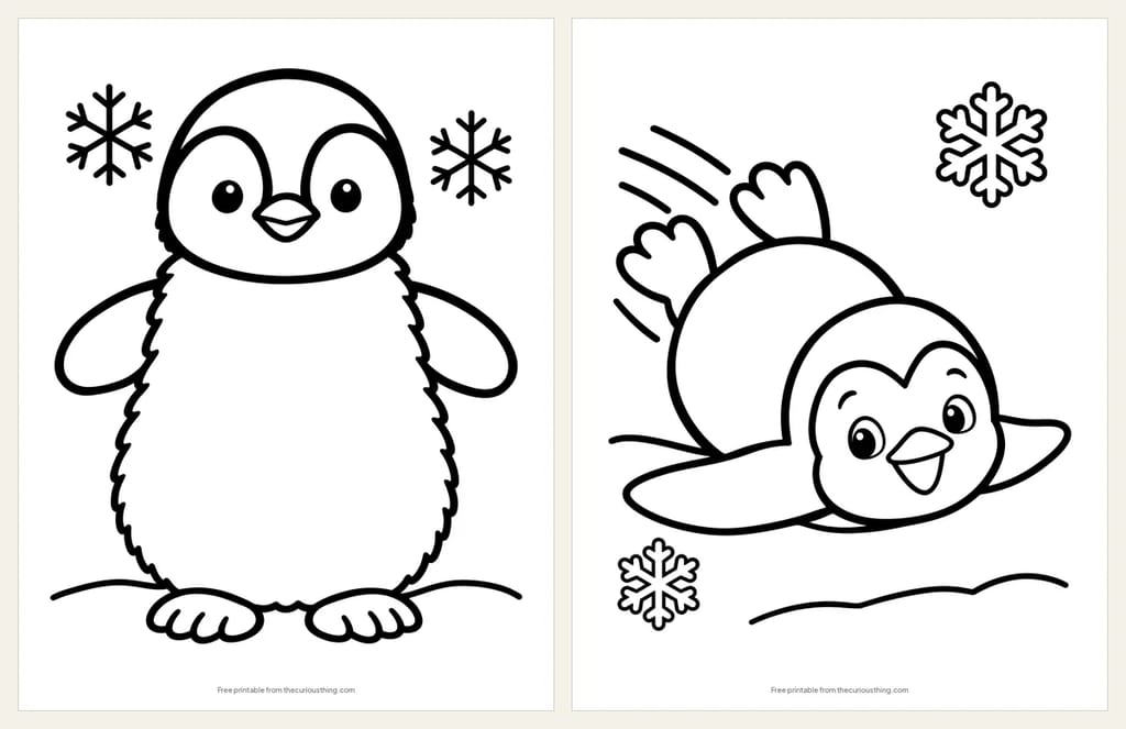 Two easy penguin coloring pages: a fluffy penguin chick standing on the ice, and a penguin sliding on its belly across the snow