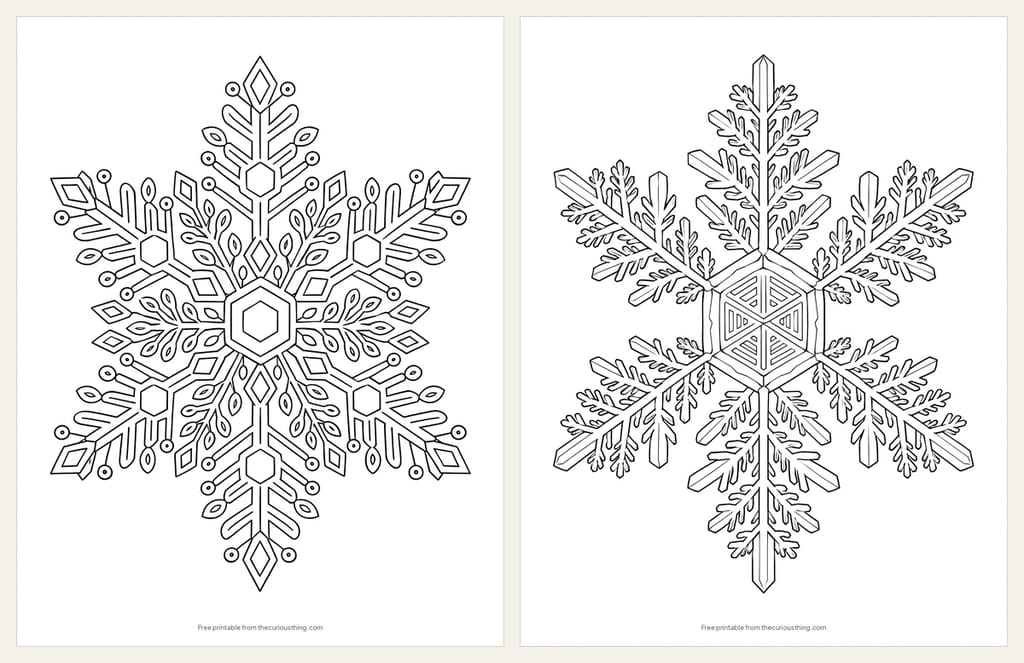 Two detailed snowflake coloring pages: a six-armed snowflake mandala full of small shapes, and a realistic branching snow crystal as seen under a microscope