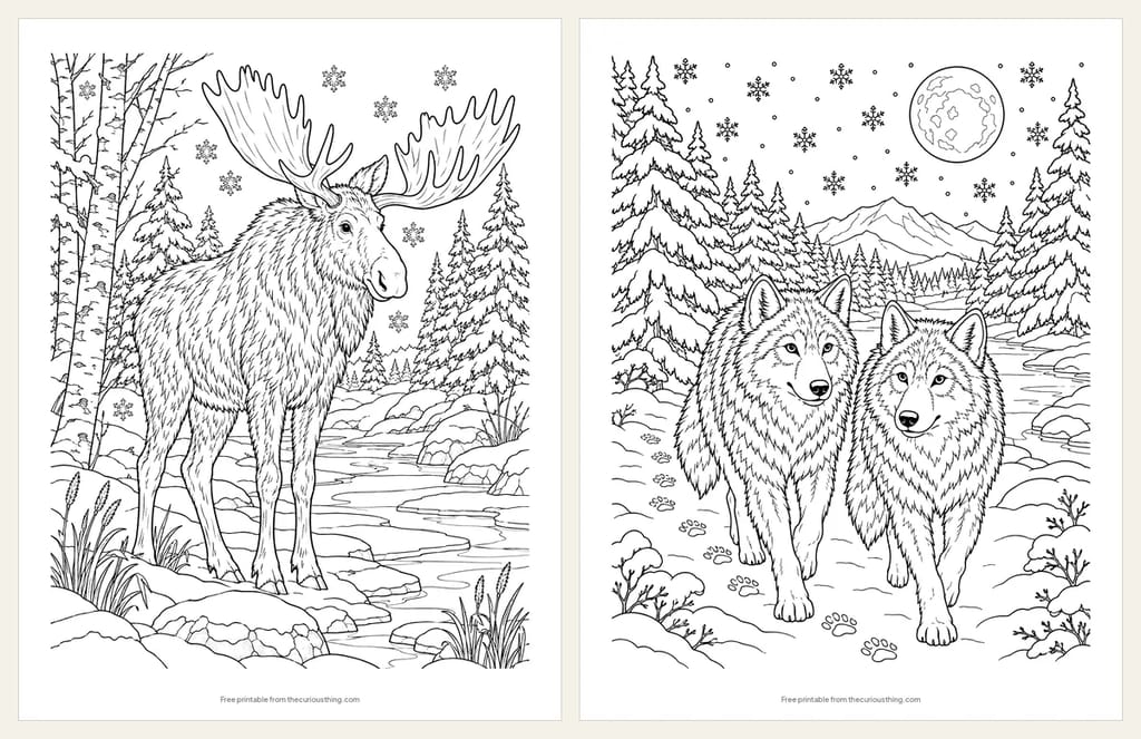Two detailed winter woodland coloring pages: a bull moose beside a frozen stream in a snowy forest, and two wolves walking through pines under a full moon