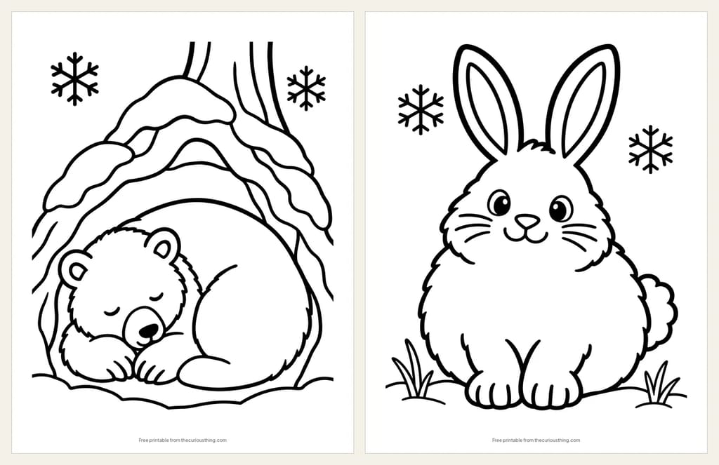Two easy winter woodland coloring pages: a black bear asleep in a den under tree roots, and a fluffy rabbit sitting in the snow
