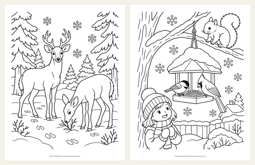 Two winter woodland coloring pages: two white-tailed deer in a snowy forest clearing, and a chickadee, a cardinal and a squirrel at a backyard bird feeder
